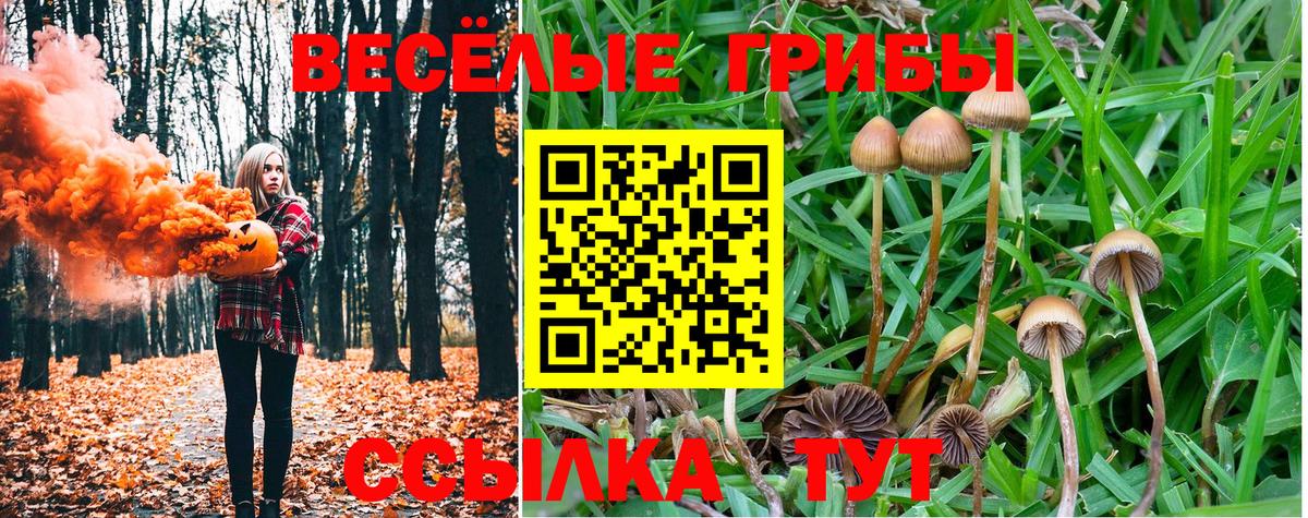 Галлюциногенные грибы мухоморы  Вход с VPN  Новочеркасск  Псилоцибиновые грибы Magic Shrooms 