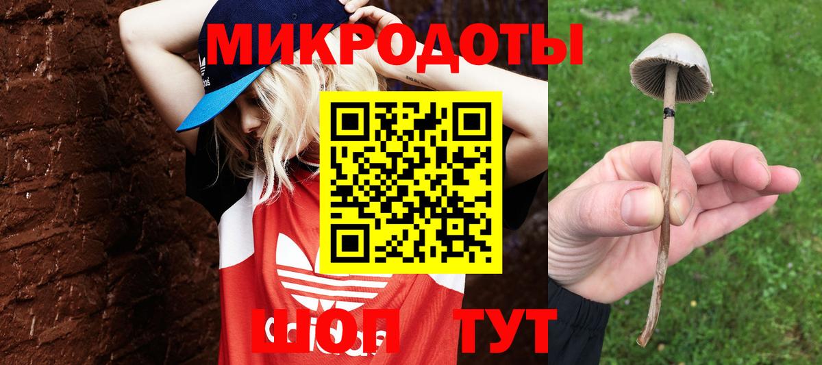 Псилоцибиновые грибы Magic Shrooms Новочеркасск